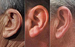 10 zajímavých faktů o uších