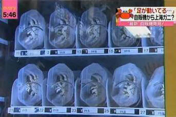 10 mimořádných věcí, které si můžete koupit v Číně