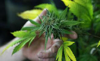 5 nejpodivnějších zpráv týdne