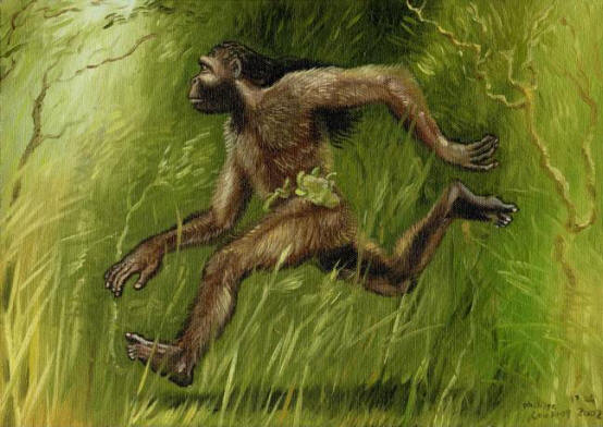 Agogwe: Tajemství afrických chlupatých trpaslíků