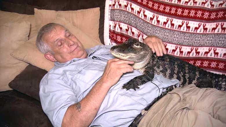 Aligátor - jako lék na depresi