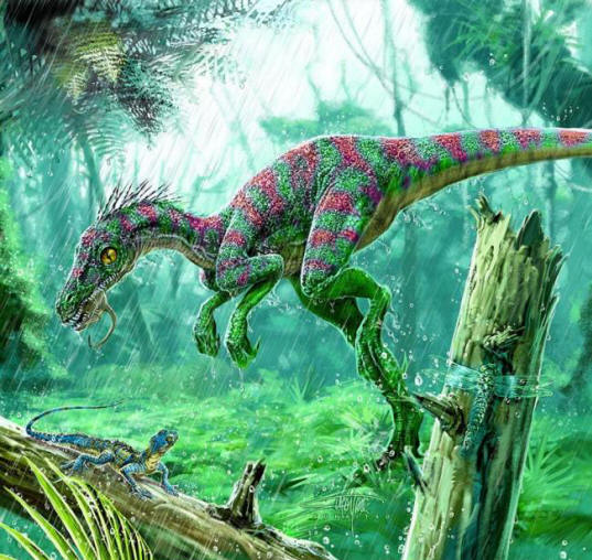 Alternativní civilizace: Dinosauři, krysy, delfíni