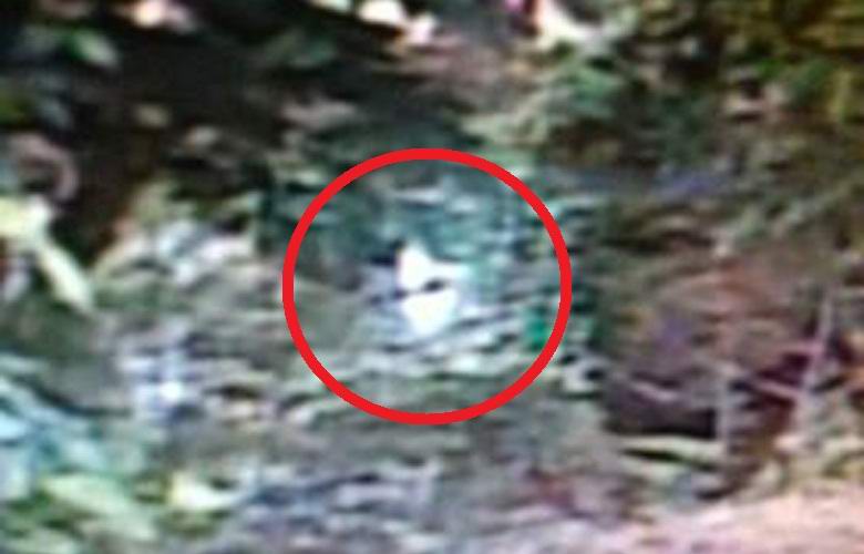 Američané tvrdí, že vyfotili mimozemšťana