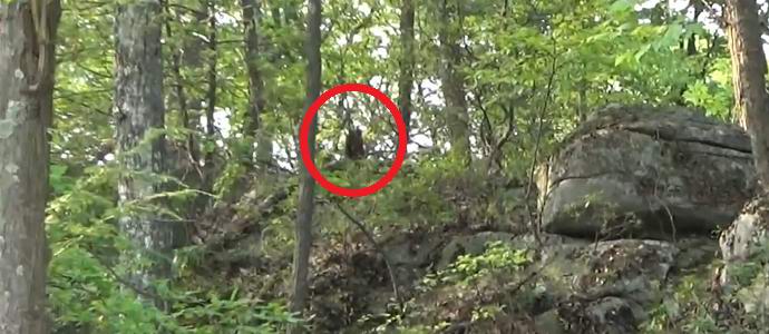 Američan tvrdí, že ve videu natočil několik sněhuláků.