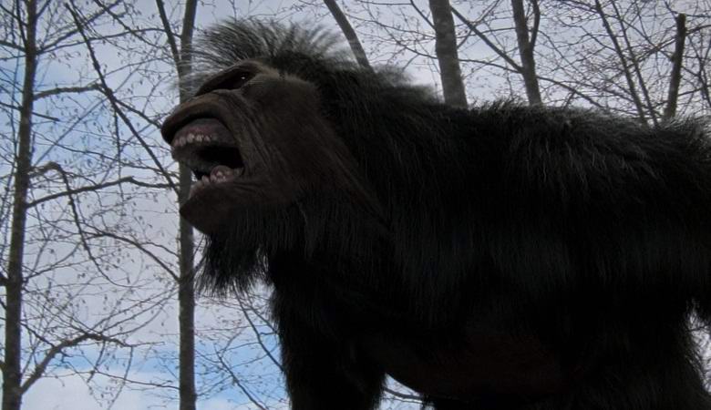 Američan nahrál strašidelný Bigfoot Roar