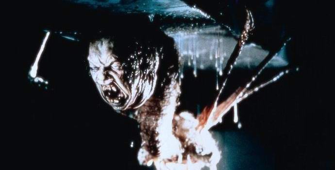 Američan našel zbytky nechutného netvora