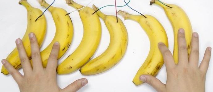 Američtí studenti vytvořili banánový klavír