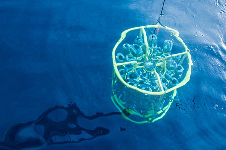 Americká vojenská experimentování s bakteriemi znovu