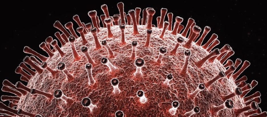 Analýza genomu ukazuje, že koronavirus může být „chimérou“ dvou různých virů 