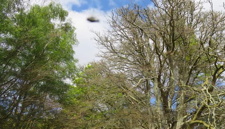 Angličan jasně fotografoval