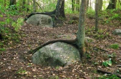 Neobvyklý střed Země