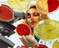 Antibiotika zpomalují proces stárnutí