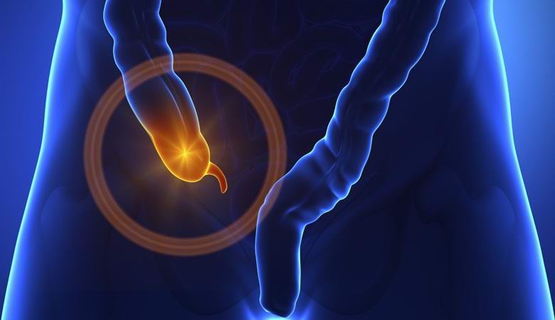 Příloha se ukázala jako životně důležitý orgán