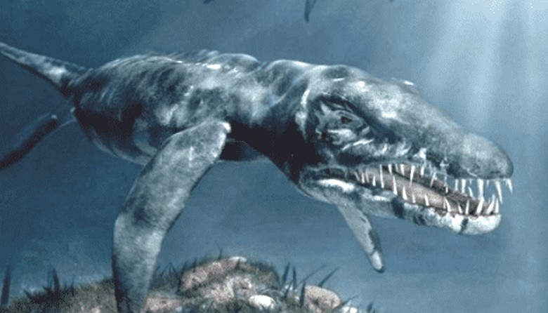 Argentinský Plesiosaurus zasáhl video rybářů