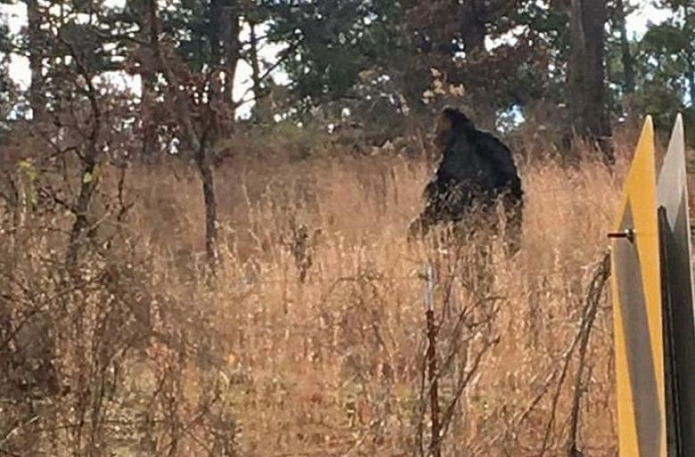 Australský se setkal s Yovi a z tohoto setkání se příliš nebál.