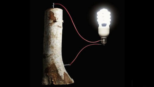 Baterie mohou být vyrobeny ze dřeva