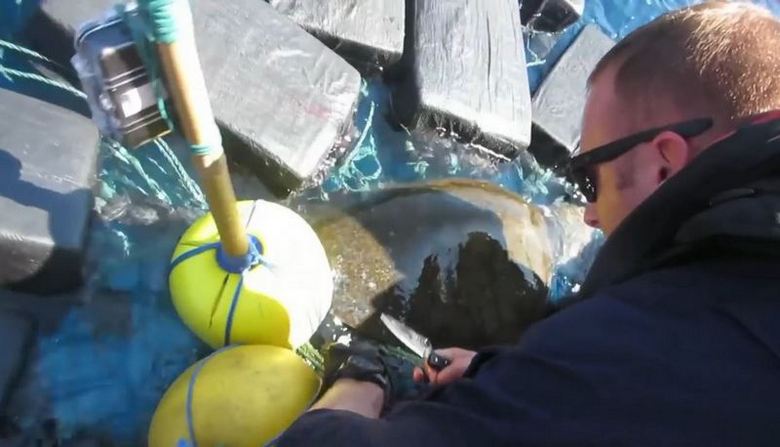 Americká pobřežní hlídka chytila ​​želvu s 800 kg kokainu