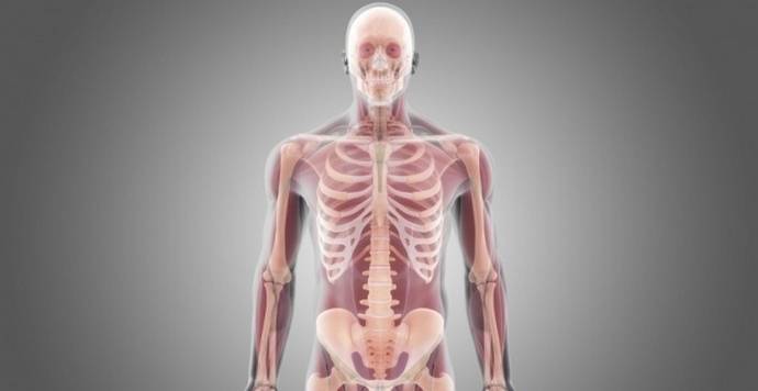 Nesmrtelnost člověka - snad v blízké budoucnosti