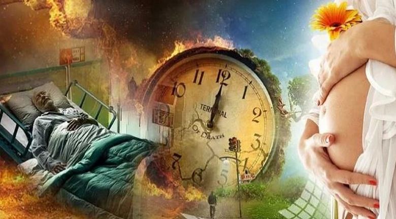 Nesmrtelnost na Zemi - cesta k