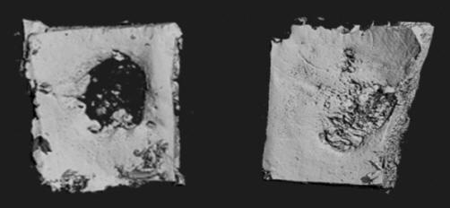 potenciální využití pro zubní implantáty-k-kraniofaciální defekty