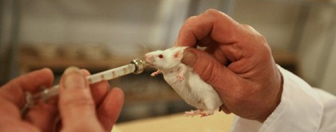 Bolest může být blokována světlem.