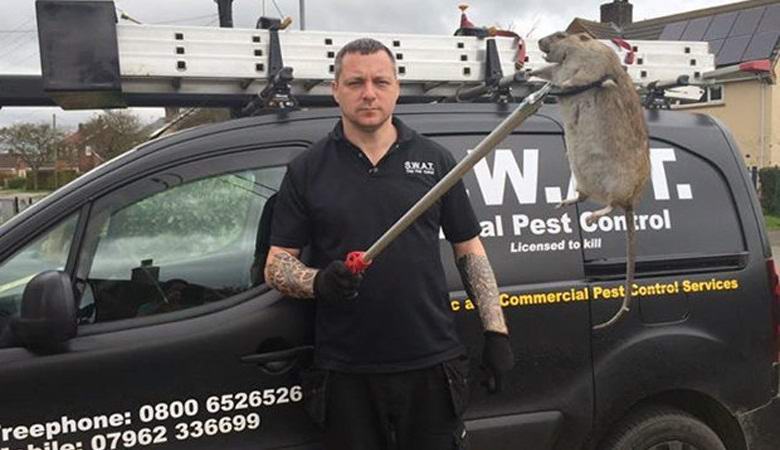 Britové mají v úmyslu vytvořit mutantní krysy