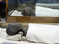 Britští vědci: Tutanchamon zemřel při nehodě