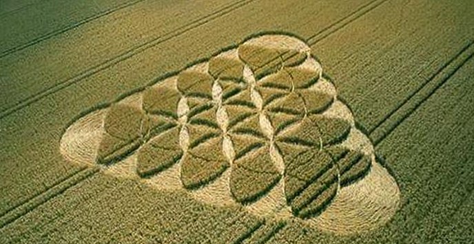 Britské úřady daly kruhy na pole, aby jim říkaly padělky