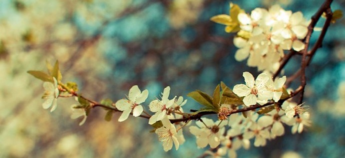 Co chtějí ženy 8. března ... a muži?