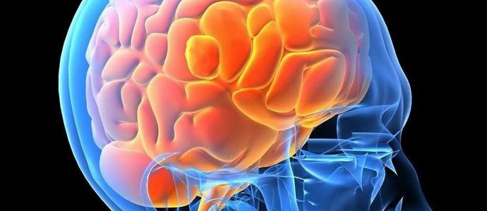 Lidský mozek si pamatuje slova jako obrázky