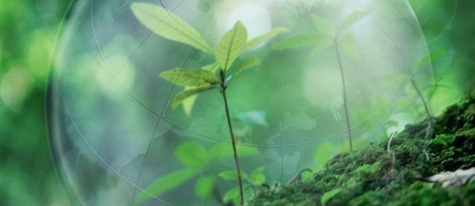 Lidstvu se tento rok podařilo využít pozemské zdroje.