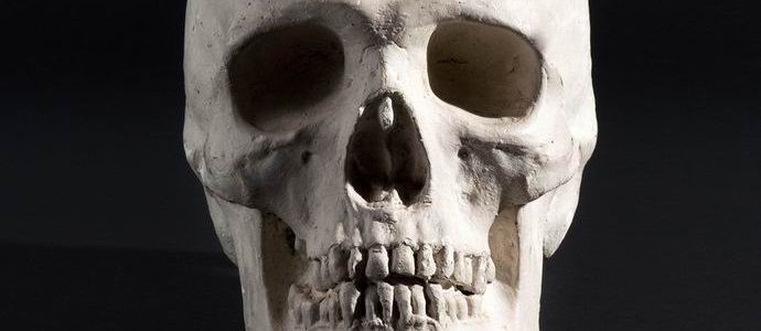 Lebka byla poprvé transplantována člověku