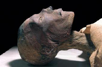 Co ublížilo našim starým předkům