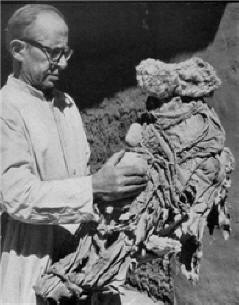 Co jsi našel v Chile?