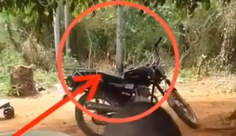 Monster zasáhl video v Paraguayi