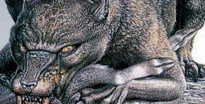 Chupacabra se objevil v Saratovské oblasti