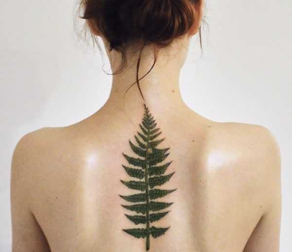 Fern tetování  