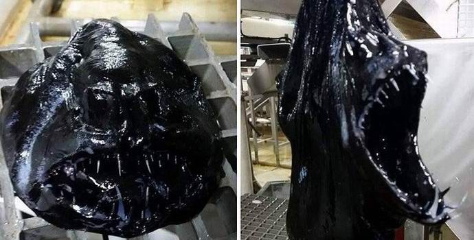 Dánský rybář chytil neuvěřitelné monstrum