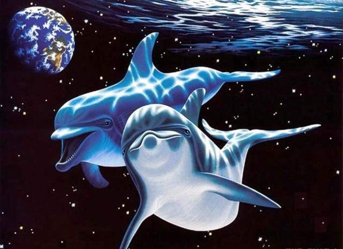 Jsou delfíni mimozemšťané?