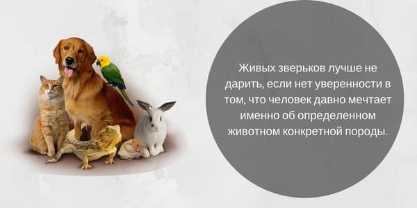 co dát k narozeninám 