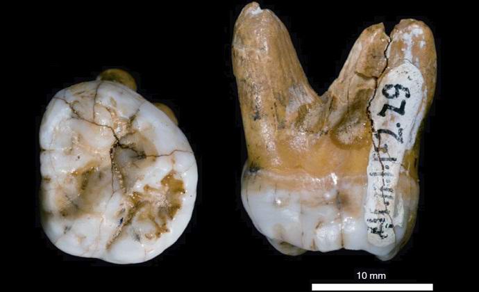 Denisovský muž se ukázal jako zcela nový vzhled