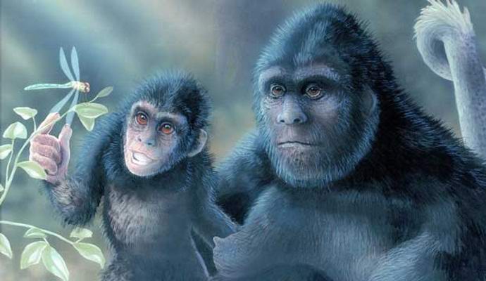 Velké video se objevilo na videu