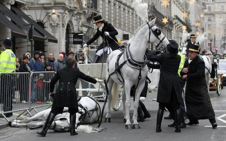 Pro Velkou Británii se pád bílého koně nevede dobře.