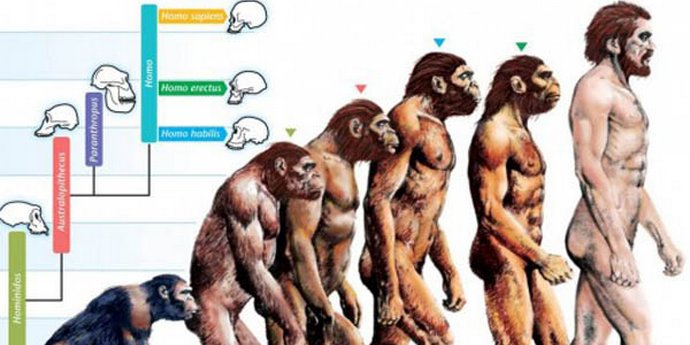 Prehistorický muž v módních sandálech