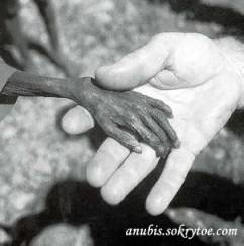 Spolehlivé kontakty s mimozemšťany