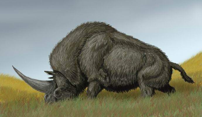 Starověcí předkové Kazašské žili v době jednorožců?