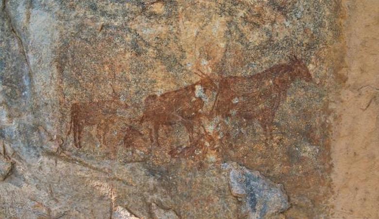 Starověcí obyvatelé africké Tanzanie zobrazovali komety na kamenech