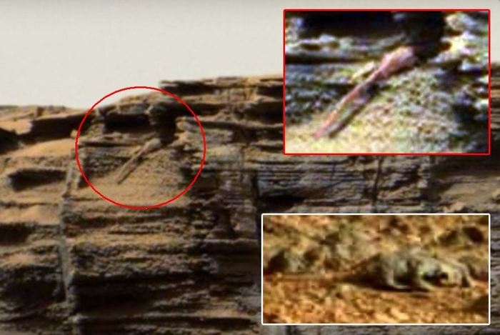 Další ještěrka na Marsu