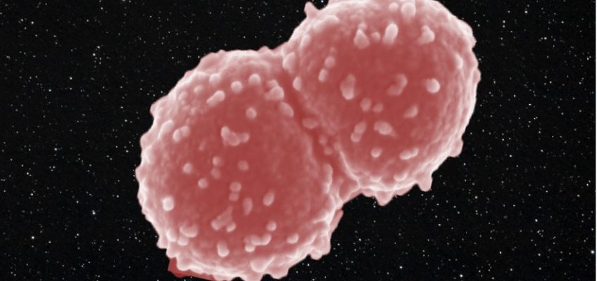 Tato bakterie žila celý rok mimo vesmírnou stanici. 