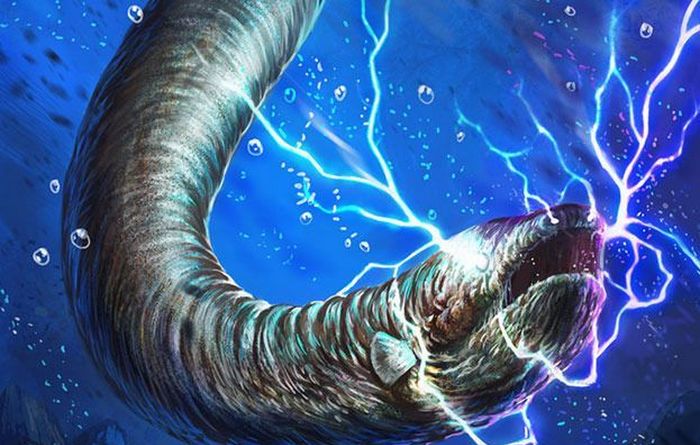 Tyto úžasné úhoře.